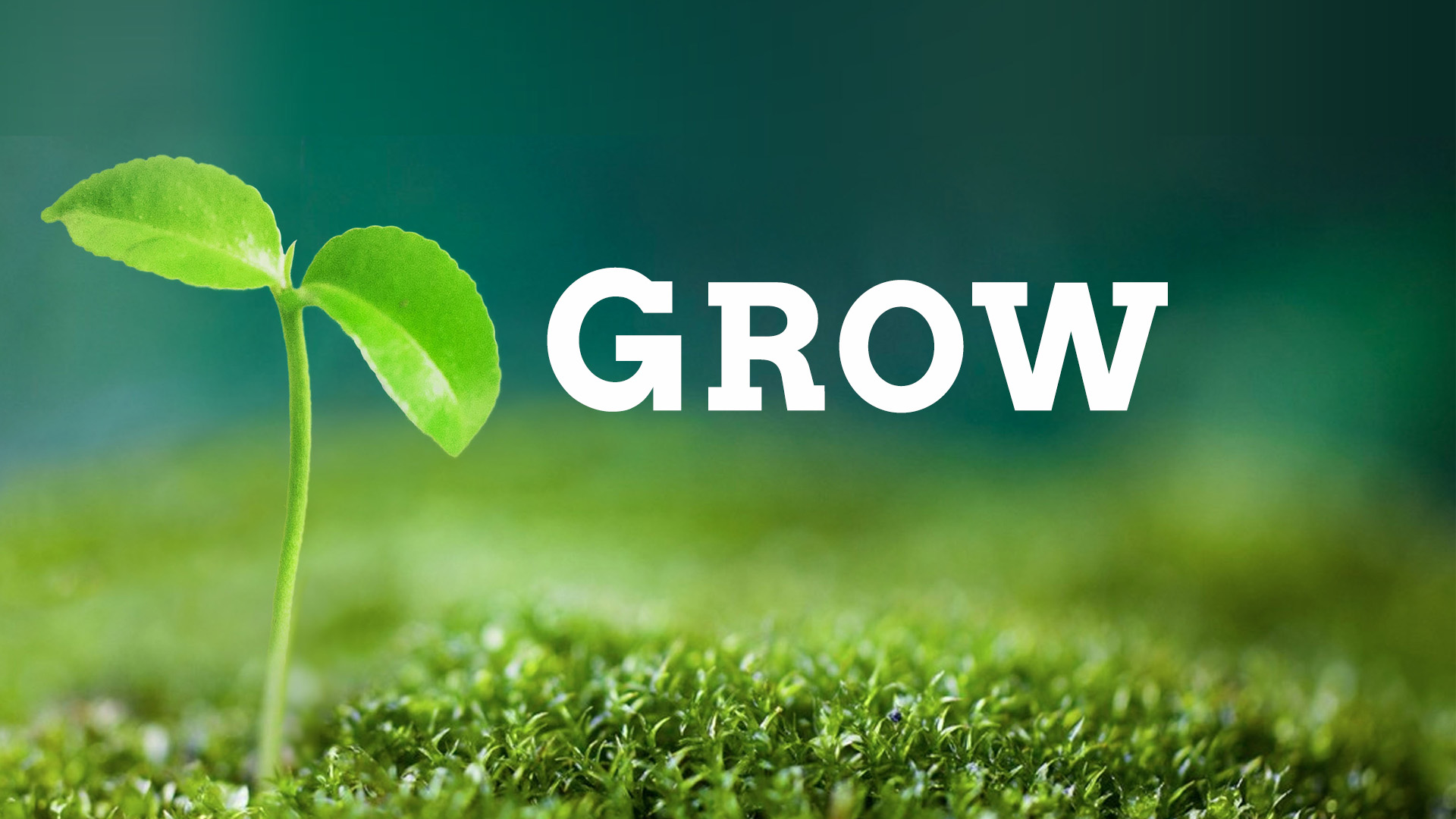 First Baptist Church of Norfolk Grow